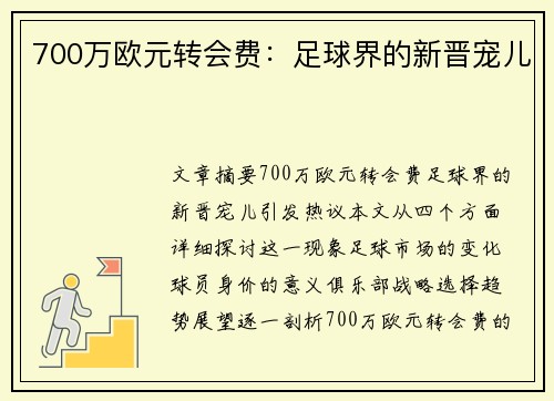 700万欧元转会费：足球界的新晋宠儿