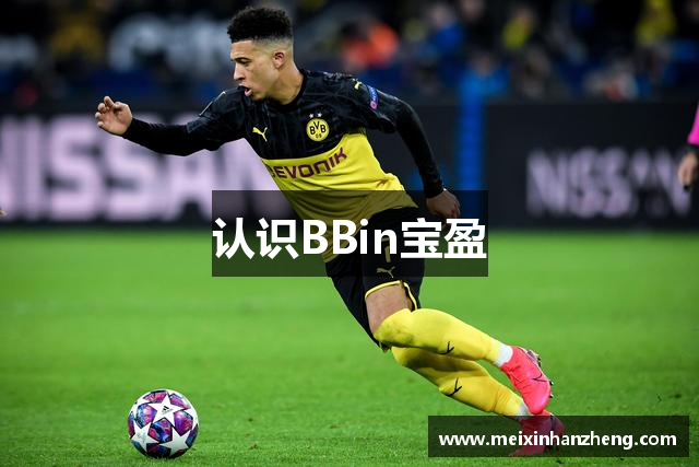 认识BBin宝盈